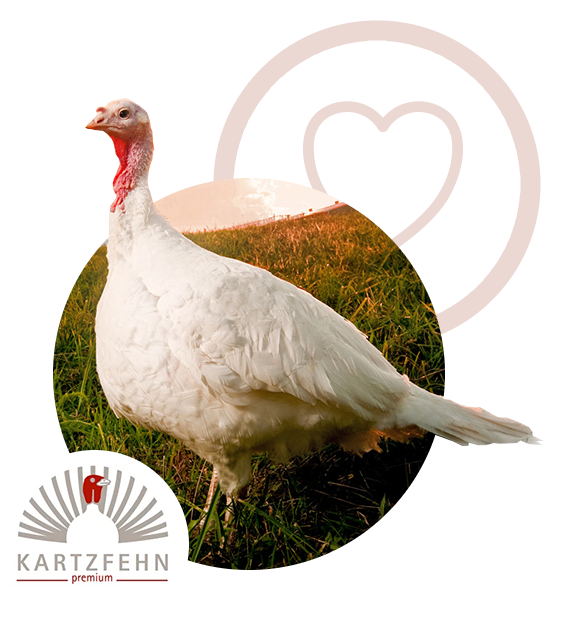 Compassionate care
