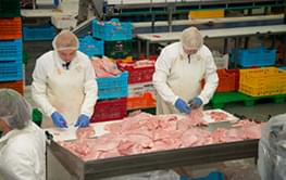 Meat packing